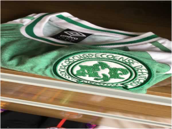 Zebras para apostar hoje