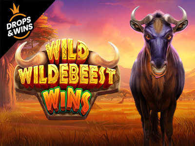 Bet win login